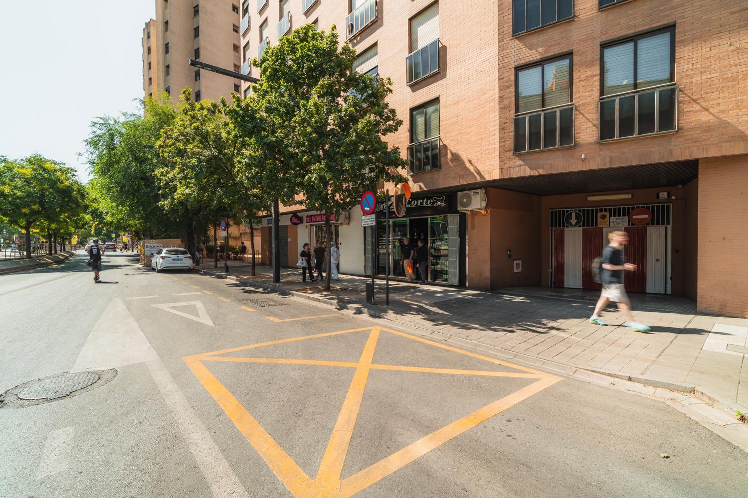 Constitucion Apartment - Free Parking Granada Buitenkant foto